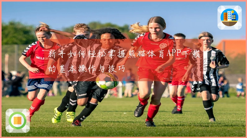 新手如何轻松掌握熊猫体育APP下载的基本操作与技巧